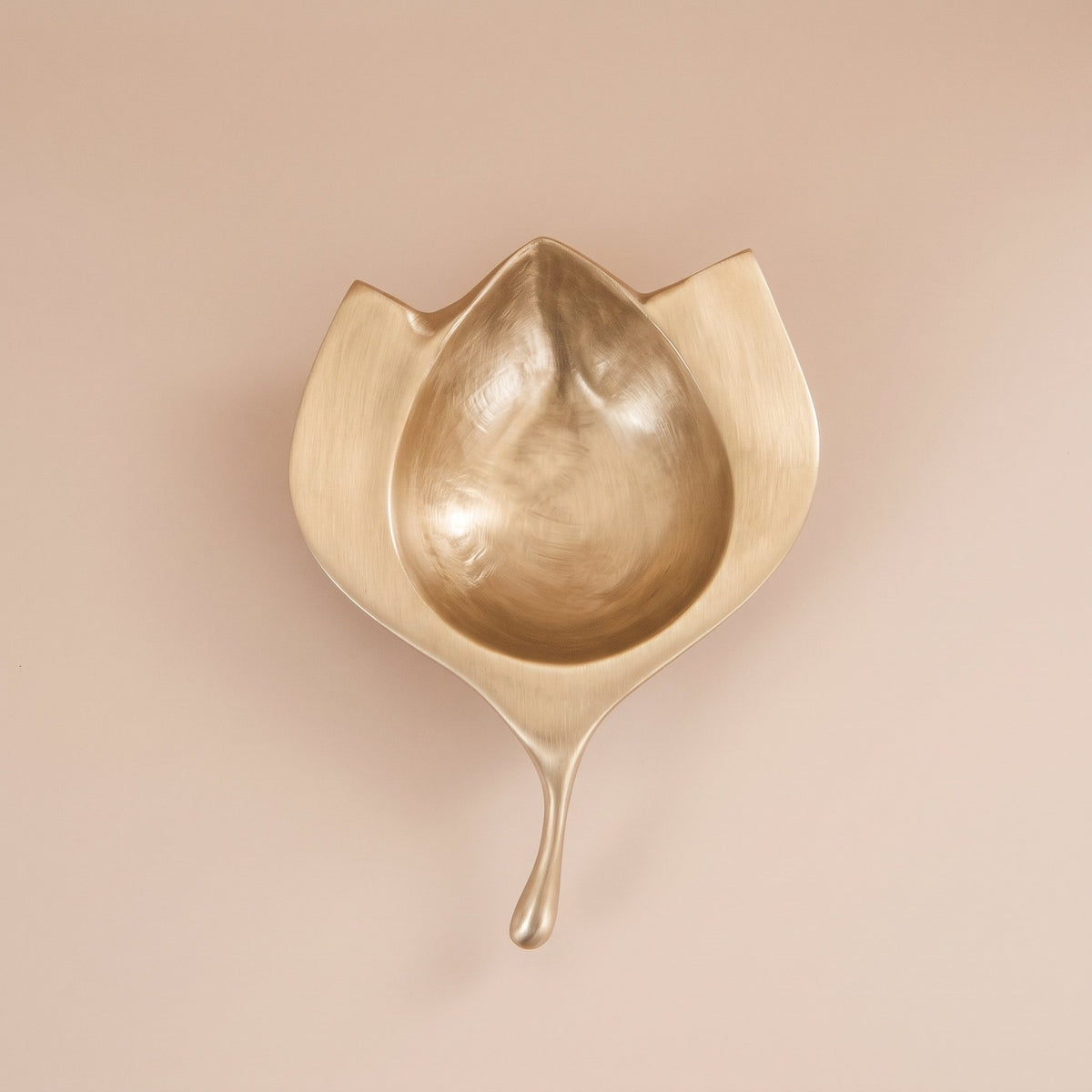 Lotus Bloom Brass - The Heritage story